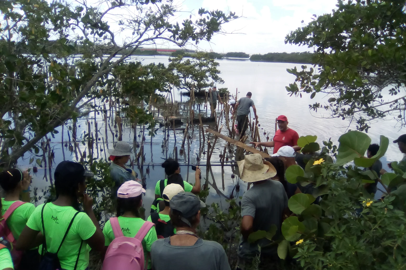 ¿Quién defiende a las especies amenazadas de Cuba?